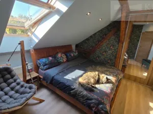 Prodej rodinného domu, Příbram, Klaudova, 179 m2