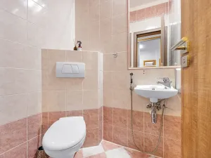 Prodej bytu 4+kk, Brno, Vyhlídka, 130 m2