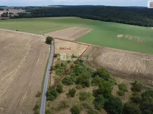 Prodej pozemku, Sýkořice, 3943 m2