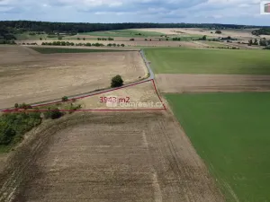Prodej pozemku, Sýkořice, 3943 m2