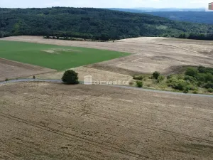 Prodej pozemku, Sýkořice, 3943 m2
