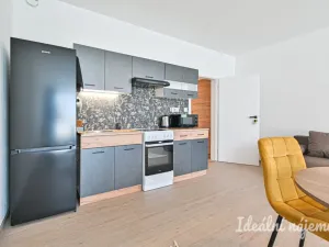 Pronájem bytu 1+kk, Brno, Faměrovo náměstí, 49 m2