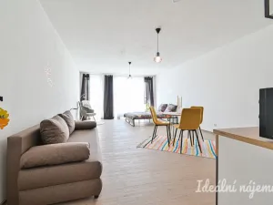Pronájem bytu 1+kk, Brno, Faměrovo náměstí, 49 m2