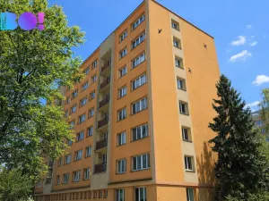 Pronájem bytu 1+kk, Ostrava, Krakovská, 20 m2