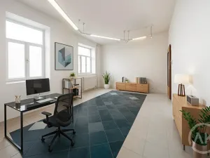 Pronájem kanceláře, Ostrava - Přívoz, Libušina, 22 m2