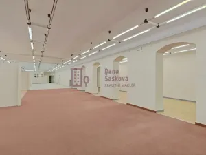Pronájem obchodního prostoru, Jindřichův Hradec - Jindřichův Hradec I, nám. Míru, 525 m2
