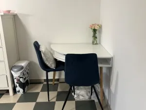 Pronájem bytu 1+1, Ústí nad Labem, Bratislavská, 38 m2