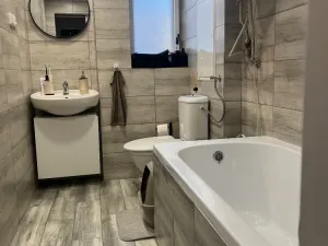 Pronájem bytu 1+1, Ústí nad Labem, Bratislavská, 38 m2