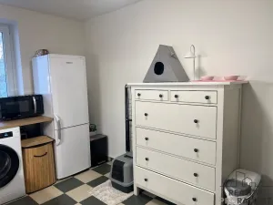 Pronájem bytu 1+1, Ústí nad Labem, Bratislavská, 38 m2