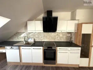 Pronájem bytu 3+kk, Teplice - Trnovany, Thámova, 95 m2