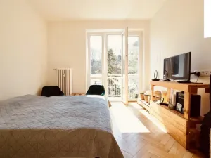 Prodej bytu 2+kk, Praha - Karlín, Sokolovská, 47 m2