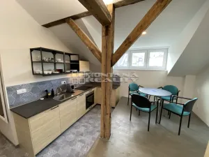 Pronájem bytu 1+kk, Olomouc, Praskova, 54 m2