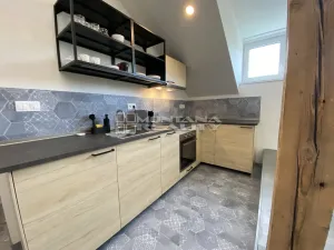 Pronájem bytu 1+kk, Olomouc, Praskova, 54 m2