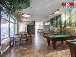 Prodej restaurace, Slezské Rudoltice, 360 m2