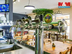 Prodej restaurace, Slezské Rudoltice, 360 m2