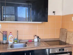 Pronájem bytu 2+1, Ústí nad Labem, Studentská, 52 m2