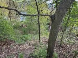 Prodej chaty, Klášterec nad Ohří - Miřetice u Klášterce nad Ohří, Mariánské údolí, 77 m2