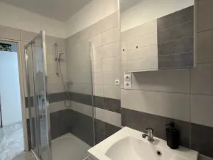 Pronájem bytu 2+1, České Budějovice - České Budějovice 6, Mánesova, 60 m2