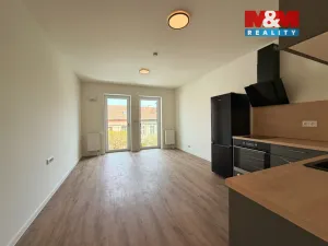 Pronájem bytu 1+kk, Brno - Husovice, Svitavská, 27 m2