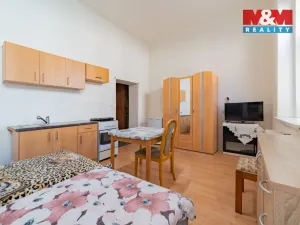 Prodej bytu 1+kk, Cheb, Mánesova, 26 m2