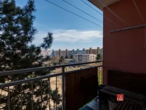 Prodej bytu 3+kk, Plzeň - Bolevec, Žlutická, 74 m2