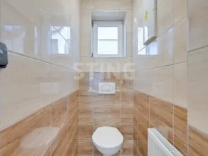 Prodej chalupy, Strachotín, Šakvická, 270 m2