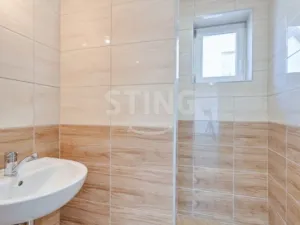 Prodej chalupy, Strachotín, Šakvická, 270 m2