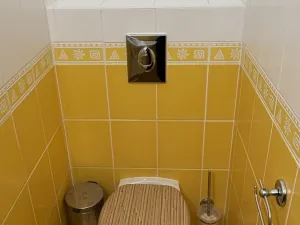 Prodej rodinného domu, Hartmanice, 90 m2