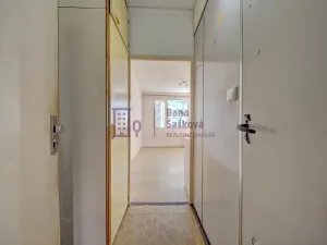 Prodej bytu 1+kk, Pelhřimov, Pražská, 20 m2