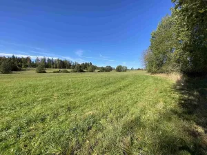 Prodej pole, Nový Rychnov - Čejkov, 4706 m2