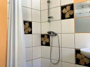 Prodej rodinného domu, Litomyšl, 377 m2