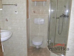 Pronájem bytu 1+1, Opava - Kateřinky, Holasická, 37 m2