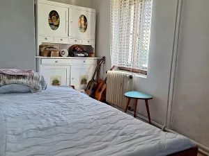 Prodej chalupy, Svojšín, 246 m2