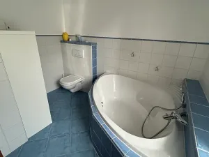 Pronájem rodinného domu, Písek, V Lukách, 400 m2