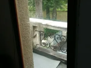 Pronájem bytu 1+kk, České Budějovice - České Budějovice 7, U Malše, 29 m2