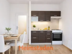 Pronájem bytu 1+kk, Český Těšín, Hornická, 28 m2