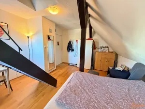 Pronájem pokoje, Praha - Suchdol, Nad dolíky, 18 m2