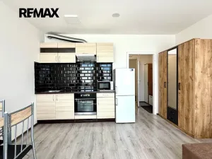 Pronájem bytu 1+kk, Praha - Vinohrady, Perucká, 25 m2