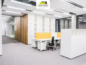 Pronájem výrobních prostor, Solnice, Průmyslová, 9368 m2