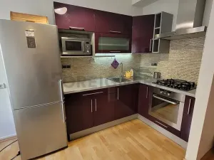 Pronájem bytu 2+kk, Brno, Botanická, 56 m2