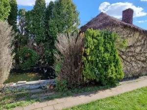 Prodej zahrady, Břeclav, Na Širokých, 1373 m2