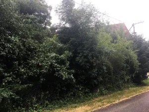 Prodej chalupy, Jinín, 69 m2