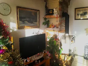 Prodej rodinného domu, Strakonice, Vrchlického, 365 m2