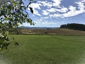 Prodej pozemku pro bydlení, Strakonice, 570 m2