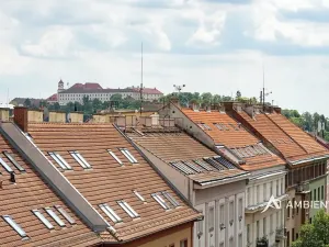 Prodej bytu 6+kk a větší, Brno, Čápkova, 209 m2