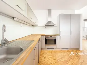 Prodej bytu 6+kk a větší, Brno, Čápkova, 209 m2