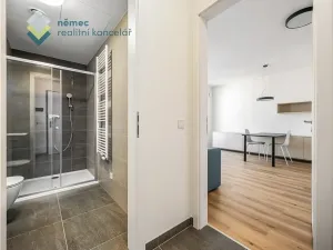 Pronájem bytu 1+kk, Praha - Kamýk, Hodkovická, 30 m2