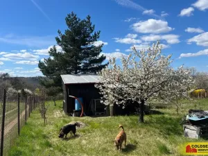 Prodej zahrady, Ostopovice, 409 m2