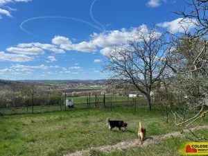 Prodej zahrady, Ostopovice, 409 m2