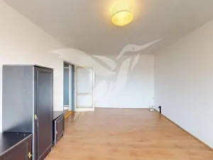 Pronájem bytu 1+1, Plzeň, Nepomucká, 42 m2